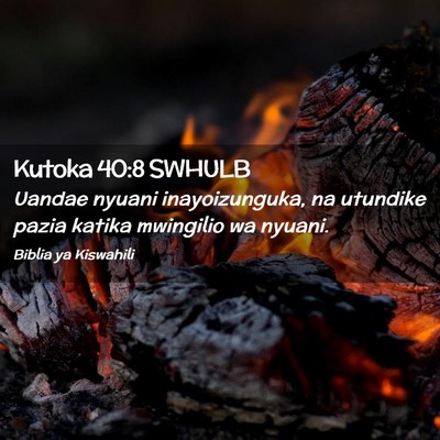 Picture 02 - Kutoka 40:8 SWHULB - Uandae nyuani inayoizunguka, na utundike pazia - Bible Verse Picture