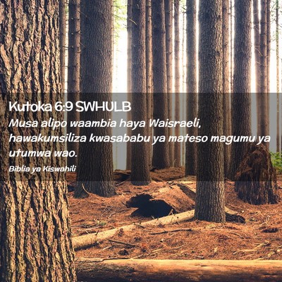 Picture 02 - Kutoka 6:9 SWHULB - Musa alipo waambia haya Waisraeli, hawakumsiliza - Bible Verse Picture
