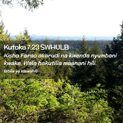 Picture 02 - Kutoka 7:23 SWHULB - Kisha Farao akarudi na kwenda nyumbani kwake. - Bible Verse Picture