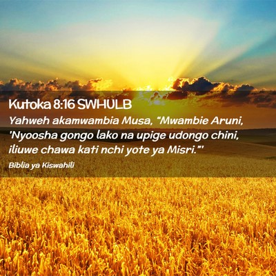 Picture 02 - Kutoka 8:16 SWHULB - Yahweh akamwambia Musa, “Mwambie Aruni, - Bible Verse Picture