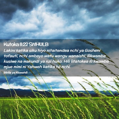 Picture 02 - Kutoka 8:22 SWHULB - Lakini katika siku hiyo nitaitendea nchi ya - Bible Verse Picture