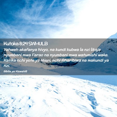 Picture 02 - Kutoka 8:24 SWHULB - Yahweh akafanya hivyo, na kundi kubwa la nzi - Bible Verse Picture