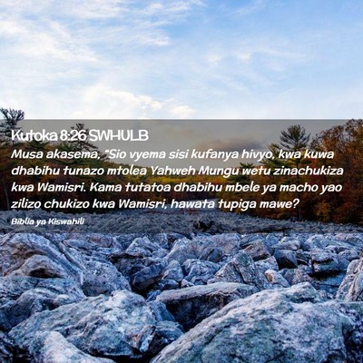 Picture 02 - Kutoka 8:26 SWHULB - Musa akasema, “Sio vyema sisi kufanya hivyo, - Bible Verse Picture