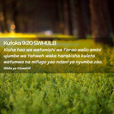 Picture 02 - Kutoka 9:20 SWHULB - Kisha hao wa watumishi wa Farao walio amini - Bible Verse Picture