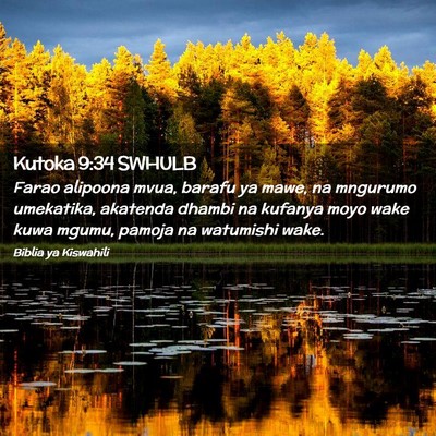 Picture 02 - Kutoka 9:34 SWHULB - Farao alipoona mvua, barafu ya mawe, na mngurumo - Bible Verse Picture