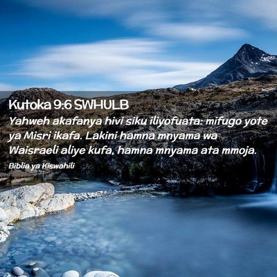 Picture 02 - Kutoka 9:6 SWHULB - Yahweh akafanya hivi siku iliyofuata: mifugo yote - Bible Verse Picture