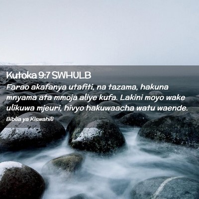Picture 02 - Kutoka 9:7 SWHULB - Farao akafanya utafiti, na tazama, hakuna mnyama - Bible Verse Picture
