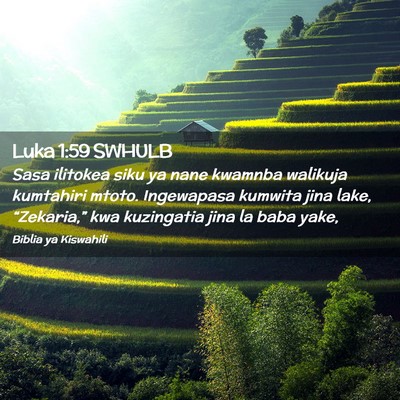 Picture 02 - Luka 1:59 SWHULB - Sasa ilitokea siku ya nane kwamnba walikuja - Bible Verse Picture