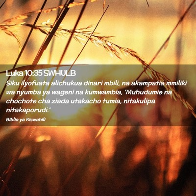 Picture 02 - Luka 10:35 SWHULB - Siku ilyofuata alichukua dinari mbili, na - Bible Verse Picture