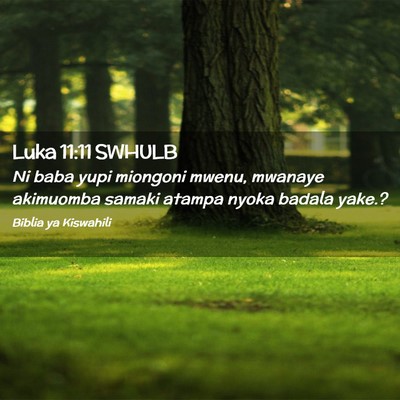 Picture 02 - Luka 11:11 SWHULB - Ni baba yupi miongoni mwenu, mwanaye akimuomba - Bible Verse Picture