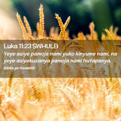 Picture 02 - Luka 11:23 SWHULB - Yeye asiye pamoja nami yuko kinyume nami, na yeye - Bible Verse Picture