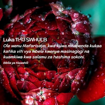 Picture 02 - Luka 11:43 SWHULB - Ole wenu Mafarisayo, kwa kuwa mnapenda kukaa - Bible Verse Picture