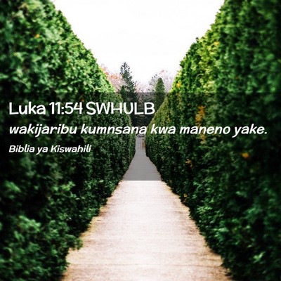 Picture 02 - Luka 11:54 SWHULB - wakijaribu kumnsana kwa maneno - Bible Verse Picture