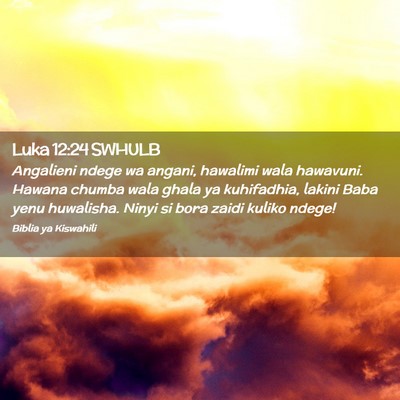 Picture 02 - Luka 12:24 SWHULB - Angalieni ndege wa angani, hawalimi wala - Bible Verse Picture