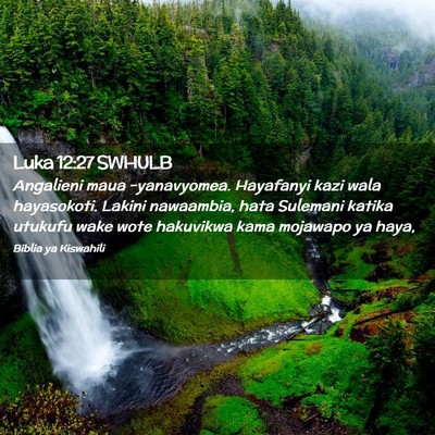 Picture 02 - Luka 12:27 SWHULB - Angalieni maua -yanavyomea. Hayafanyi kazi wala - Bible Verse Picture