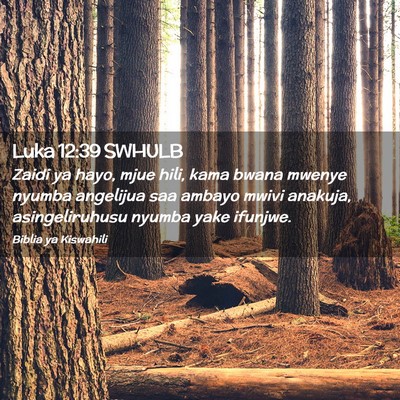 Picture 02 - Luka 12:39 SWHULB - Zaidi ya hayo, mjue hili, kama bwana mwenye - Bible Verse Picture