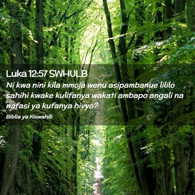 Picture 02 - Luka 12:57 SWHULB - Ni kwa nini kila mmoja wenu asipambanue lililo - Bible Verse Picture