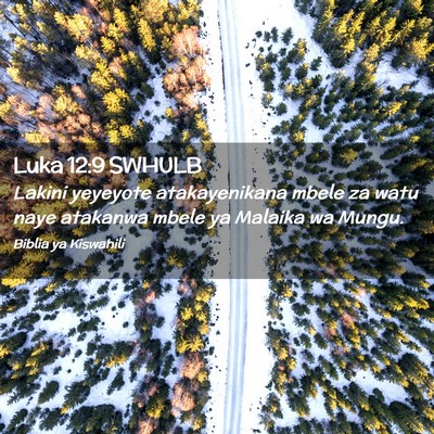 Picture 02 - Luka 12:9 SWHULB - Lakini yeyeyote atakayenikana mbele za watu naye - Bible Verse Picture