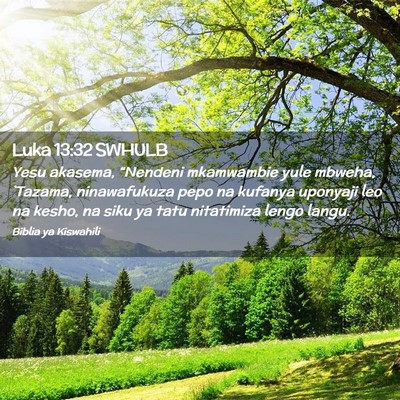 Picture 02 - Luka 13:32 SWHULB - Yesu akasema, “Nendeni mkamwambie yule mbweha, - Bible Verse Picture