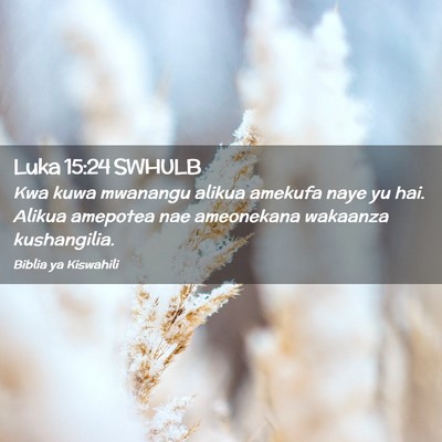 Picture 02 - Luka 15:24 SWHULB - Kwa kuwa mwanangu alikua amekufa naye yu hai. - Bible Verse Picture
