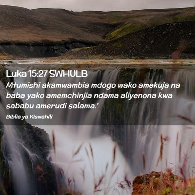 Picture 02 - Luka 15:27 SWHULB - Mtumishi akamwambia mdogo wako amekuja na baba - Bible Verse Picture