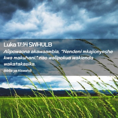Picture 02 - Luka 17:14 SWHULB - Alipowaona akawaambia, “Nendeni mkajionyeshe - Bible Verse Picture