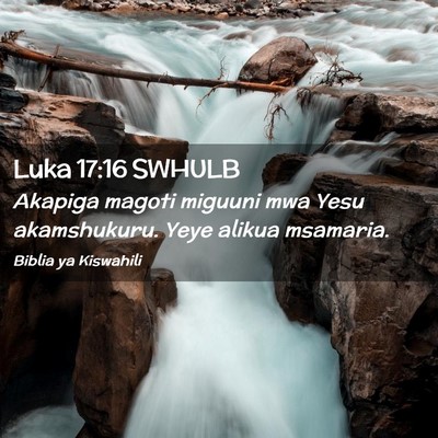 Picture 02 - Luka 17:16 SWHULB - Akapiga magoti miguuni mwa Yesu akamshukuru. Yeye - Bible Verse Picture