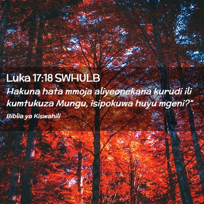 Picture 02 - Luka 17:18 SWHULB - Hakuna hata mmoja aliyeonekana kurudi ili - Bible Verse Picture
