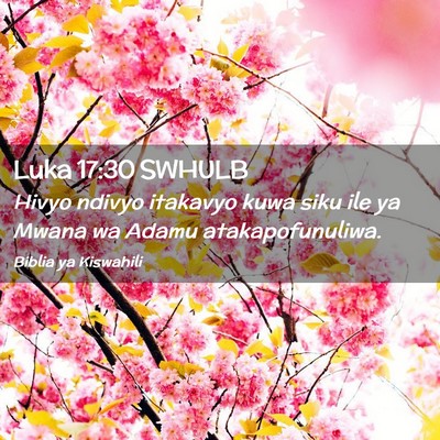 Picture 02 - Luka 17:30 SWHULB - Hivyo ndivyo itakavyo kuwa siku ile ya Mwana wa - Bible Verse Picture