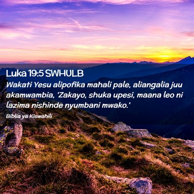 Picture 02 - Luka 19:5 SWHULB - Wakati Yesu alipofika mahali pale, aliangalia juu - Bible Verse Picture