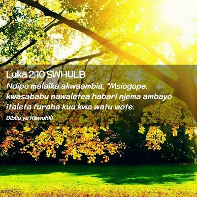 Picture 02 - Luka 2:10 SWHULB - Ndipo malaika akwaambia, “Msiogope, kwasababu - Bible Verse Picture