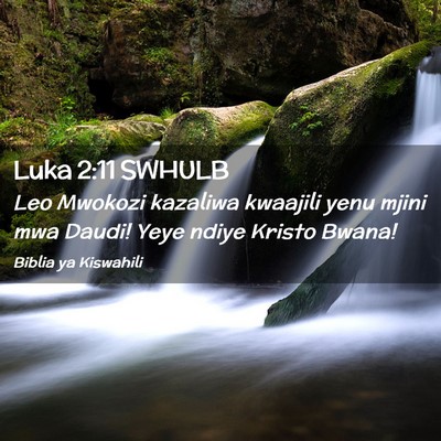 Picture 02 - Luka 2:11 SWHULB - Leo Mwokozi kazaliwa kwaajili yenu mjini mwa - Bible Verse Picture