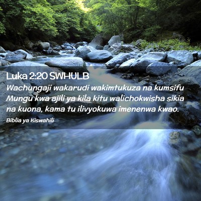Picture 02 - Luka 2:20 SWHULB - Wachungaji wakarudi wakimtukuza na kumsifu Mungu - Bible Verse Picture