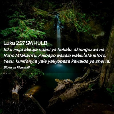 Picture 02 - Luka 2:27 SWHULB - Siku moja alikuja ndani ya hekalu, akiongozwa na - Bible Verse Picture