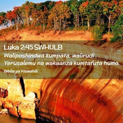 Picture 02 - Luka 2:45 SWHULB - Waliposhindwa kumpata, walirudi Yerusalemu na - Bible Verse Picture