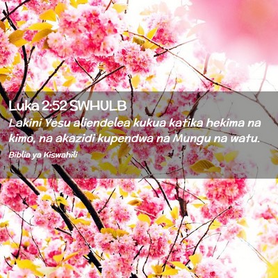 Picture 02 - Luka 2:52 SWHULB - Lakini Yesu aliendelea kukua katika hekima na - Bible Verse Picture