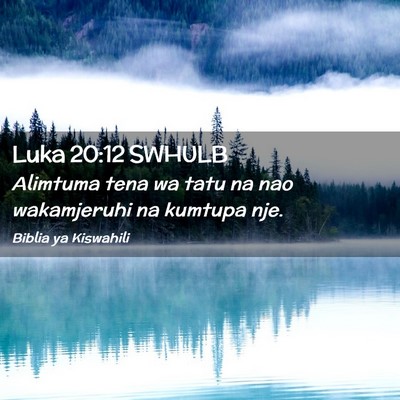 Picture 02 - Luka 20:12 SWHULB - Alimtuma tena wa tatu na nao wakamjeruhi na - Bible Verse Picture