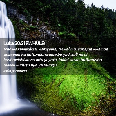 Picture 02 - Luka 20:21 SWHULB - Nao wakamwuliza, wakisema, “Mwalimu, tunajua - Bible Verse Picture