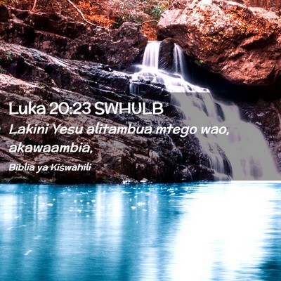 Picture 02 - Luka 20:23 SWHULB - Lakini Yesu alitambua mtego wao, - Bible Verse Picture