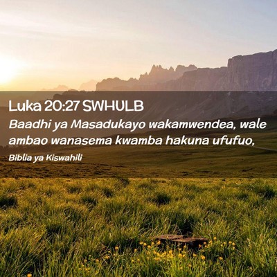 Picture 02 - Luka 20:27 SWHULB - Baadhi ya Masadukayo wakamwendea, wale ambao - Bible Verse Picture