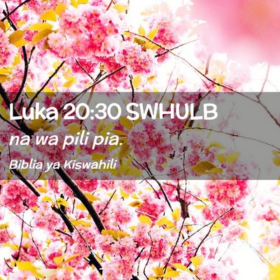 Picture 02 - Luka 20:30 SWHULB - na wa pili - Bible Verse Picture