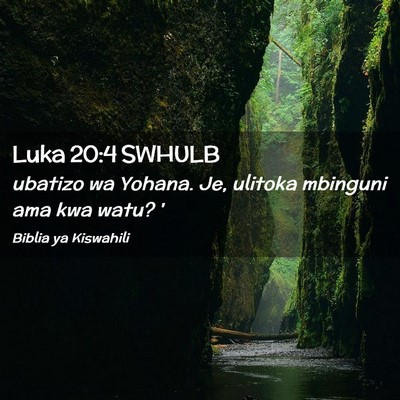 Picture 02 - Luka 20:4 SWHULB - ubatizo wa Yohana. Je, ulitoka mbinguni ama kwa - Bible Verse Picture