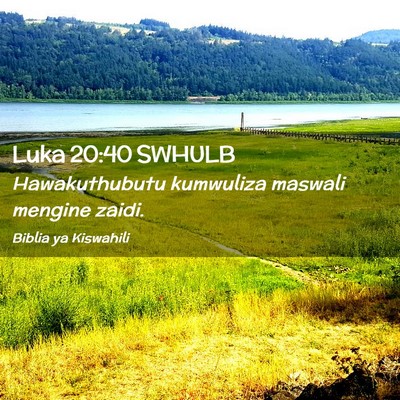 Picture 02 - Luka 20:40 SWHULB - Hawakuthubutu kumwuliza maswali mengine - Bible Verse Picture