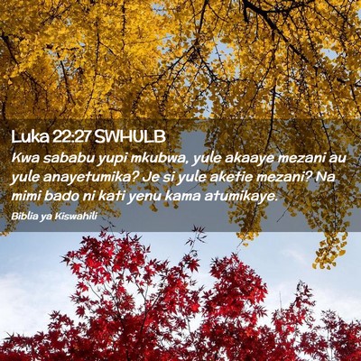 Picture 02 - Luka 22:27 SWHULB - Kwa sababu yupi mkubwa, yule akaaye mezani au - Bible Verse Picture