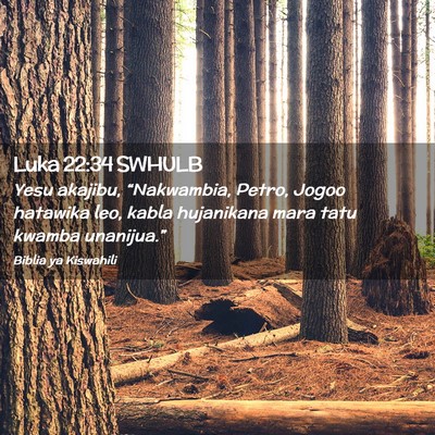 Picture 02 - Luka 22:34 SWHULB - Yesu akajibu, “Nakwambia, Petro, Jogoo hatawika - Bible Verse Picture