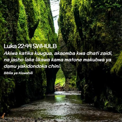 Picture 02 - Luka 22:44 SWHULB - Akiwa katika kuugua, akaomba kwa dhati zaidi, na - Bible Verse Picture