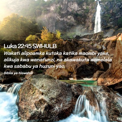 Picture 02 - Luka 22:45 SWHULB - Wakati alipoamka kutoka katika maombi yake, - Bible Verse Picture