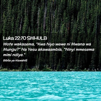 Picture 02 - Luka 22:70 SWHULB - Wote wakasema, “Kwa hiyo wewe ni Mwana wa - Bible Verse Picture