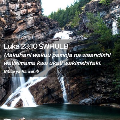 Picture 02 - Luka 23:10 SWHULB - Makuhani wakuu pamoja na waandishi walisimama kwa - Bible Verse Picture