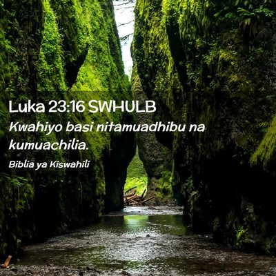 Picture 02 - Luka 23:16 SWHULB - Kwahiyo basi nitamuadhibu na - Bible Verse Picture